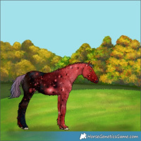 Horse Color:ERROR: UNKNOWN ANOMALY