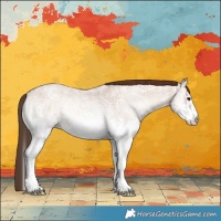 Horse Color:White Spotted Classic Champagne Ice Roan Onyx