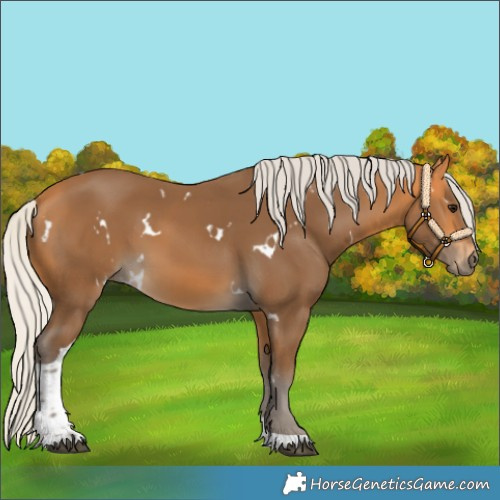 Horse Color:White Spotted Silver Buckskin Tobiano