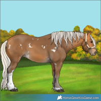 Horse Color:White Spotted Silver Buckskin Tobiano
