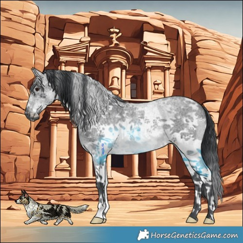 Horse Color:White Spotted Blue Chinchilla Roan 