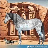 Horse Color:White Spotted Blue Chinchilla Roan 