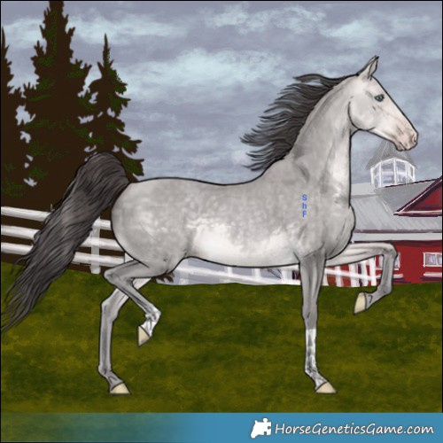Horse Color:Platinum Sable Cream Champagne 