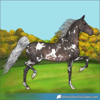 Horse Color:Platinum White Spotted Silver Brown