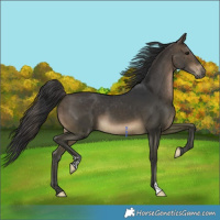 Horse Color:Platinum Brown