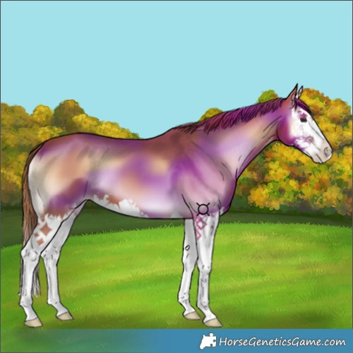 Horse Color:Red Onyx Splash