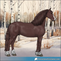 Horse Color:Chocolate Black