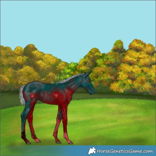 Horse Color:ERROR: UNKNOWN ANOMALY