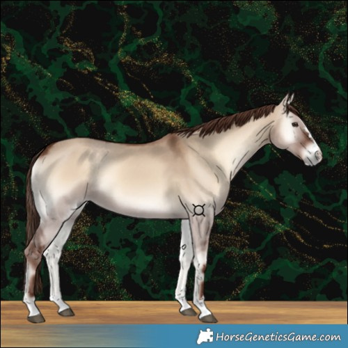 Horse Color:Red Dun Onyx 