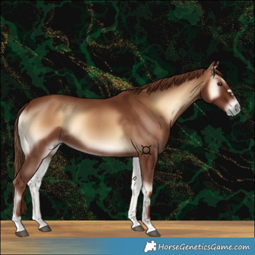 Horse Color:Red Onyx 