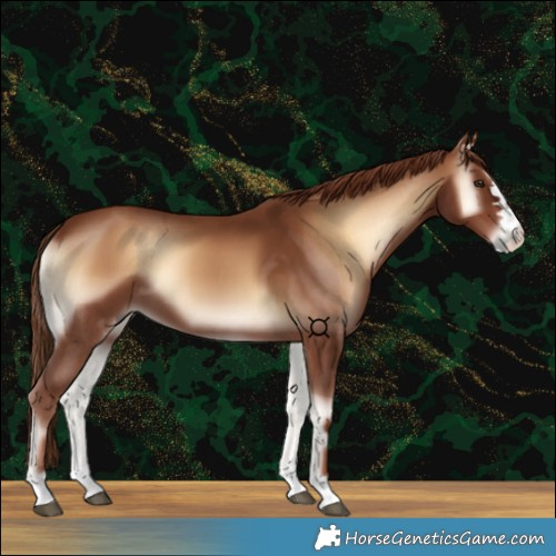 Horse Color:Red Onyx 