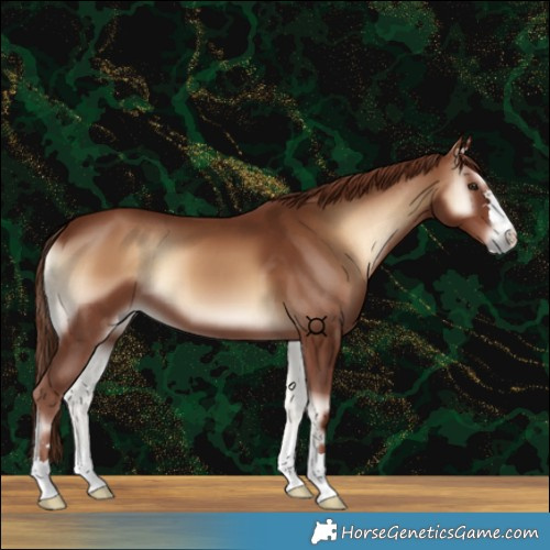 Horse Color:Red Onyx 