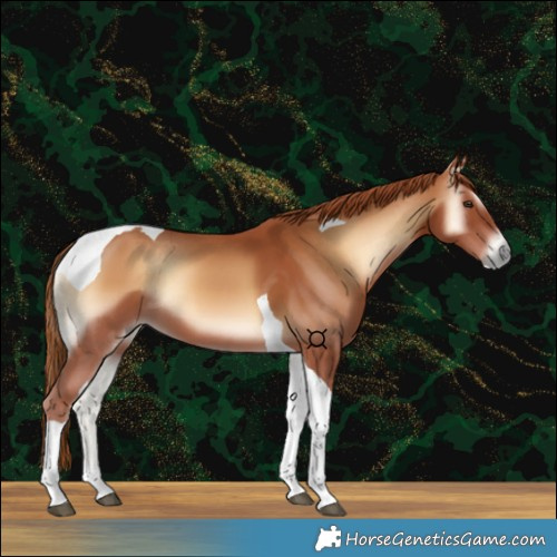 Horse Color:Red Onyx Tobiano 