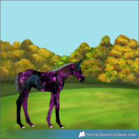 Horse Color:ERROR: UNKNOWN ANOMALY