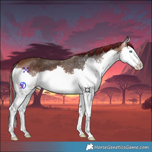 Horse Color:Painted Bay Splash 