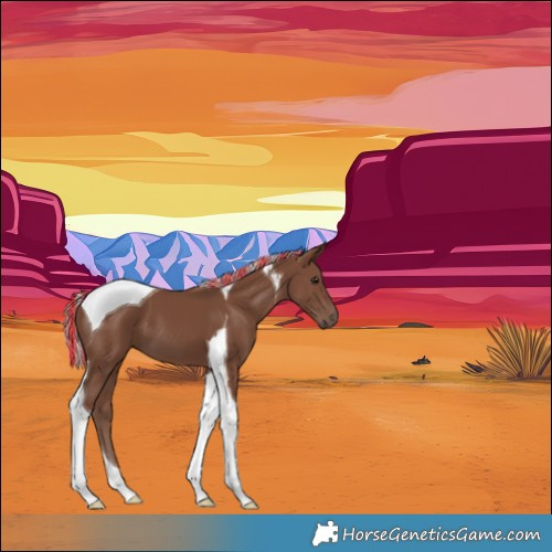 Horse Color:Painted Silver Black Tobiano 