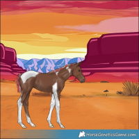 Horse Color:Painted Silver Black Tobiano 