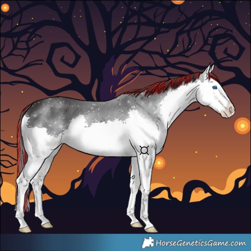 Horse Color:Painted Black Splash 