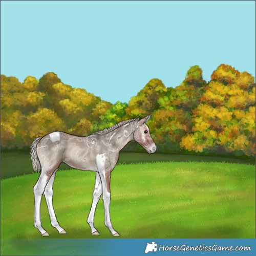 Horse Color:Silver Blue Onyx Ice Tobiano 