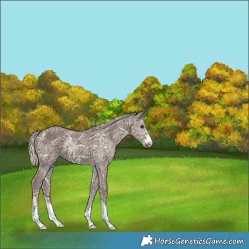 Horse Color:Silver Black Ice 