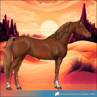 Horse Color:Chestnut Tobiano