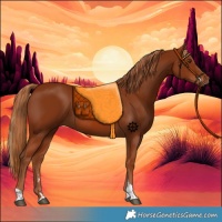 Horse Color:Chestnut Tobiano 