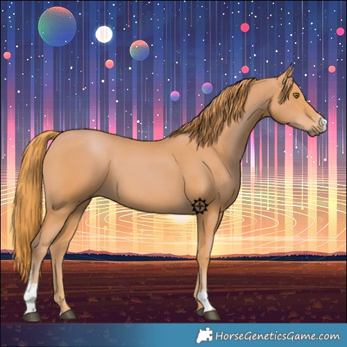 Horse Color:Chestnut Sabino 