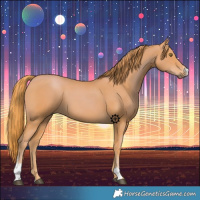 Horse Color:Chestnut Sabino