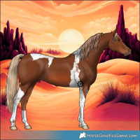 Horse Color:Chestnut Tobiano