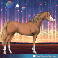 Horse Color:Chestnut Sabino 