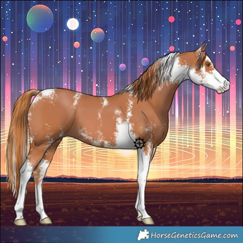 Horse Color:Chestnut Sabino