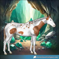 Horse Color:Chestnut Splash Tobiano