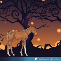 Horse Color:Chestnut Tobiano