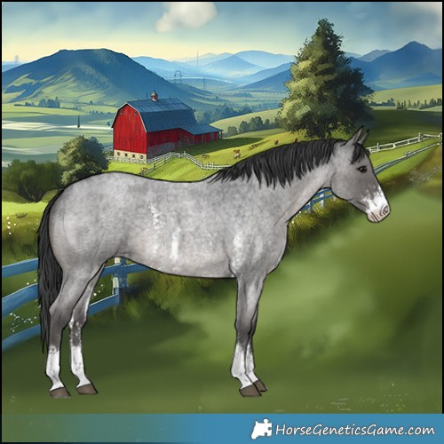 Horse Color:Blue Roan Sabino 