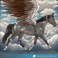 Horse Color:White Spotted Grullo Tobiano Rabicano 