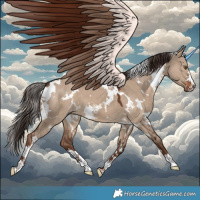 Horse Color:White Spotted Liver Red Dun 