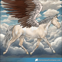 Horse Color:White Spotted Gold Cream Champagne Pearl Dun