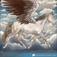 Horse Color:White Spotted Gold Champagne Pearl Dun 