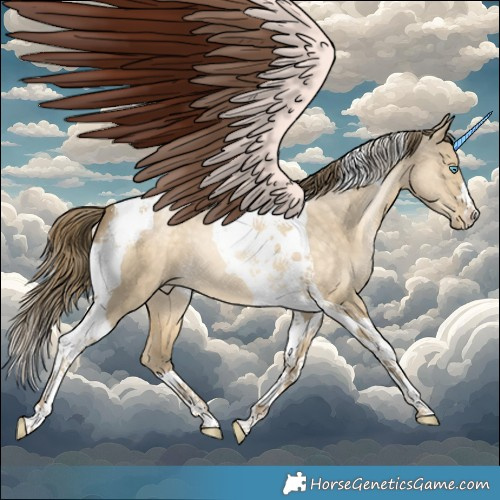 Horse Color:Buckskin Pearl Dun Tobiano 
