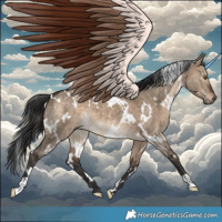 Horse Color:White Spotted Brown Dun 