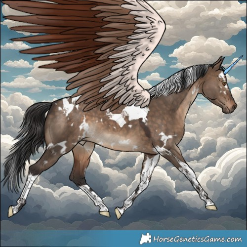 Horse Color:White Spotted Brown Dun Tobiano