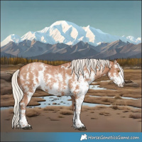 Horse Color:Silver Black Pearl Sabino 