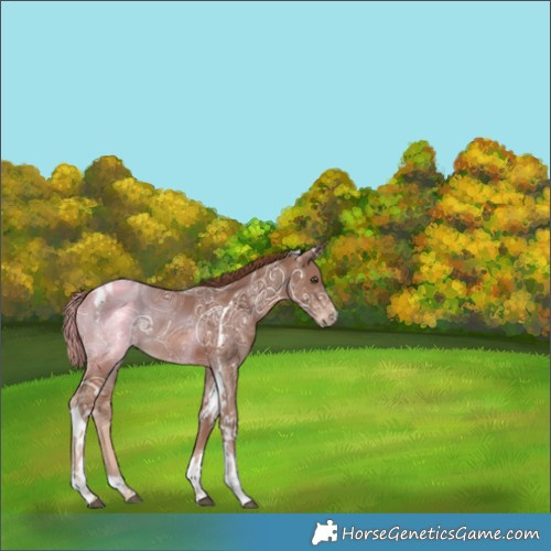 Horse Color:Chestnut Ice Tobiano 