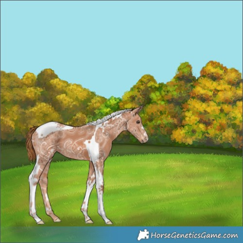 Horse Color:Chestnut Ice Tobiano 