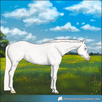 Horse Color:Perlino Tobiano 