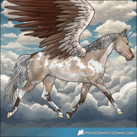 Horse Color:White Spotted Silver Brown Dun