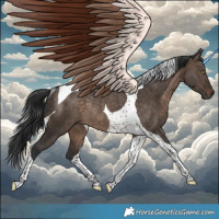 Horse Color:Brown Dun Tobiano Rabicano