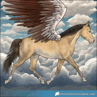 Horse Color:Sable Cream Champagne Dun Tobiano Rabicano Brindle 