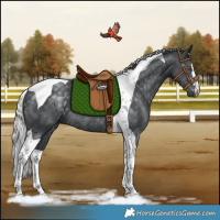 Horse Color:Silver Black Chinchilla Tobiano Rabicano 