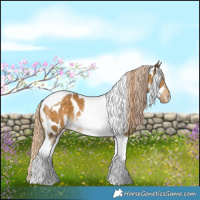 Horse Color:Chocolate Palomino Dun Tobiano Near Leopard 
